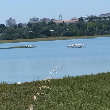 Alojamento Local, Cantinho Verde Corroios Εξωτερικό φωτογραφία